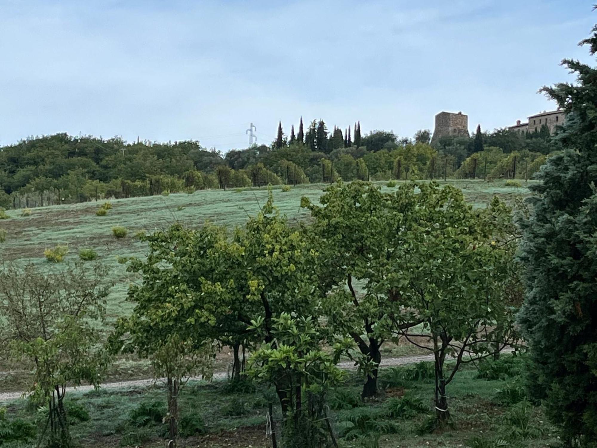 Agriturismo Le Querciole In Val D'Orcia Bagno Vignoni Eksteriør bilde