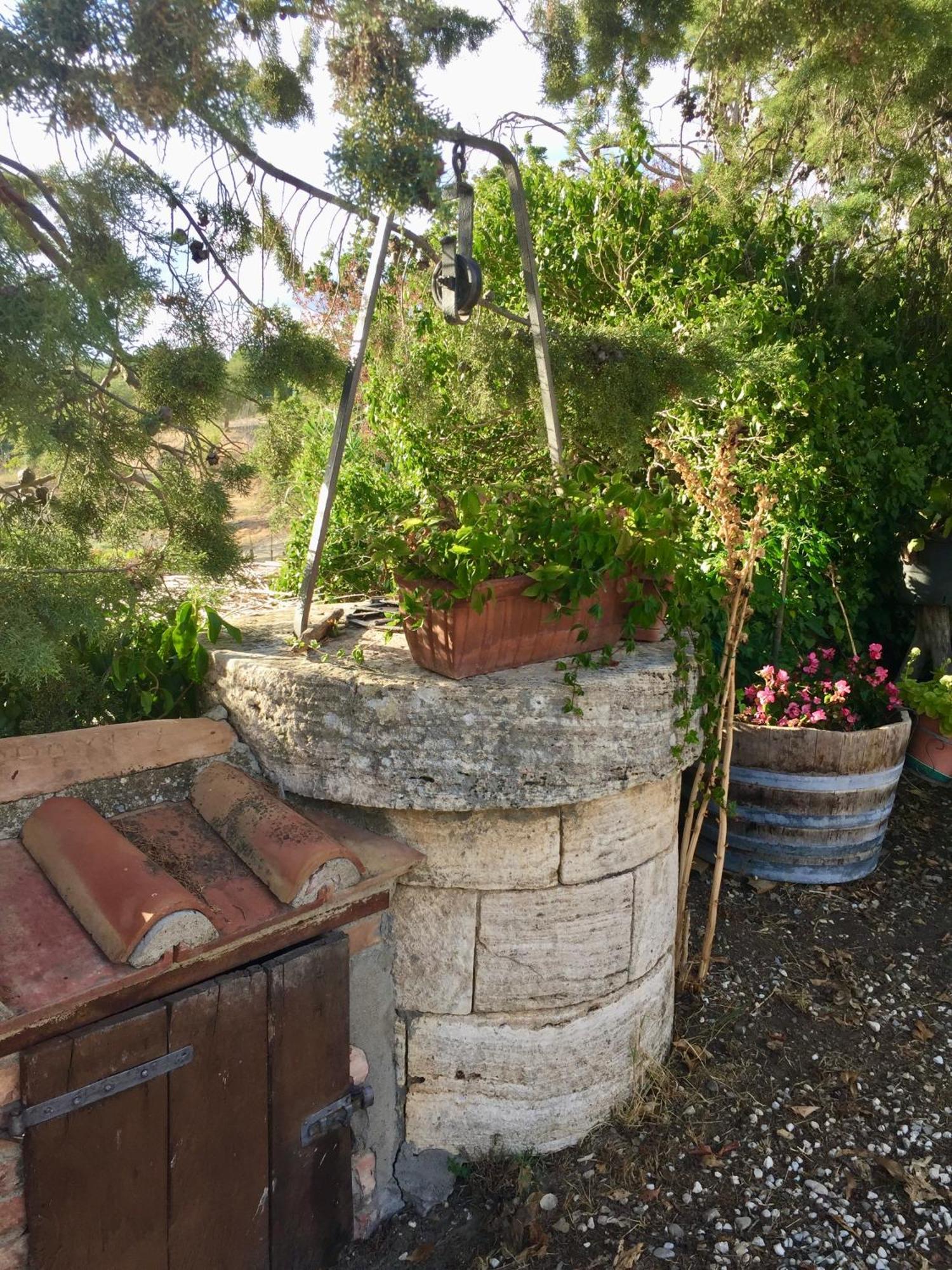 Agriturismo Le Querciole In Val D'Orcia Bagno Vignoni Eksteriør bilde