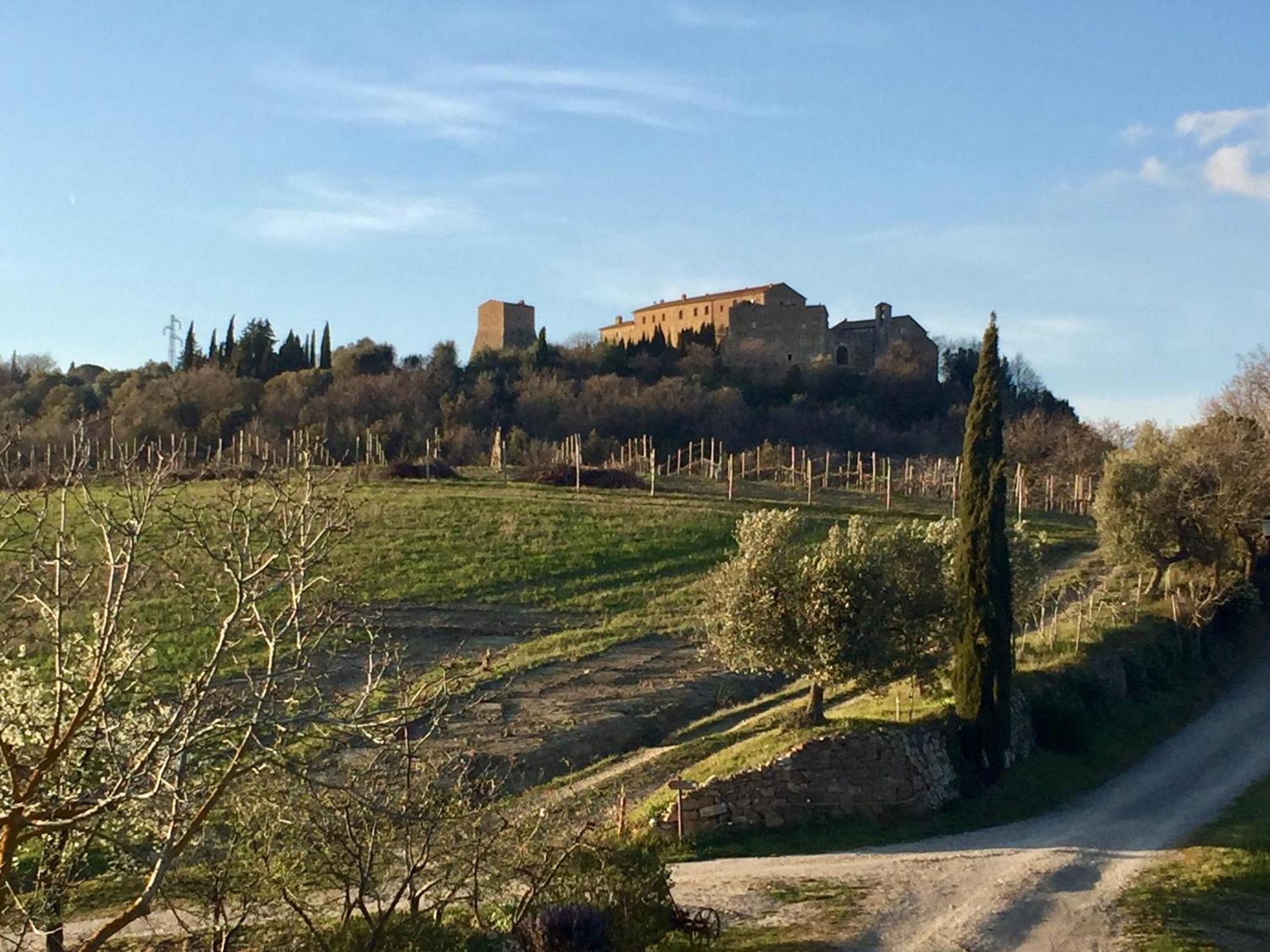 Agriturismo Le Querciole In Val D'Orcia Bagno Vignoni Eksteriør bilde