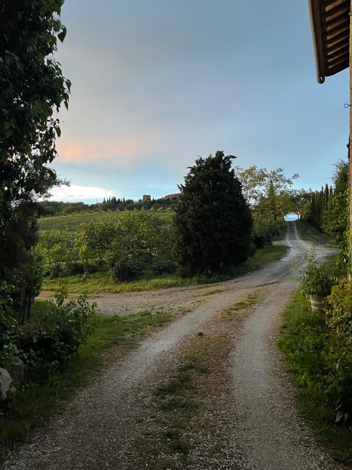 Agriturismo Le Querciole In Val D'Orcia Bagno Vignoni Eksteriør bilde
