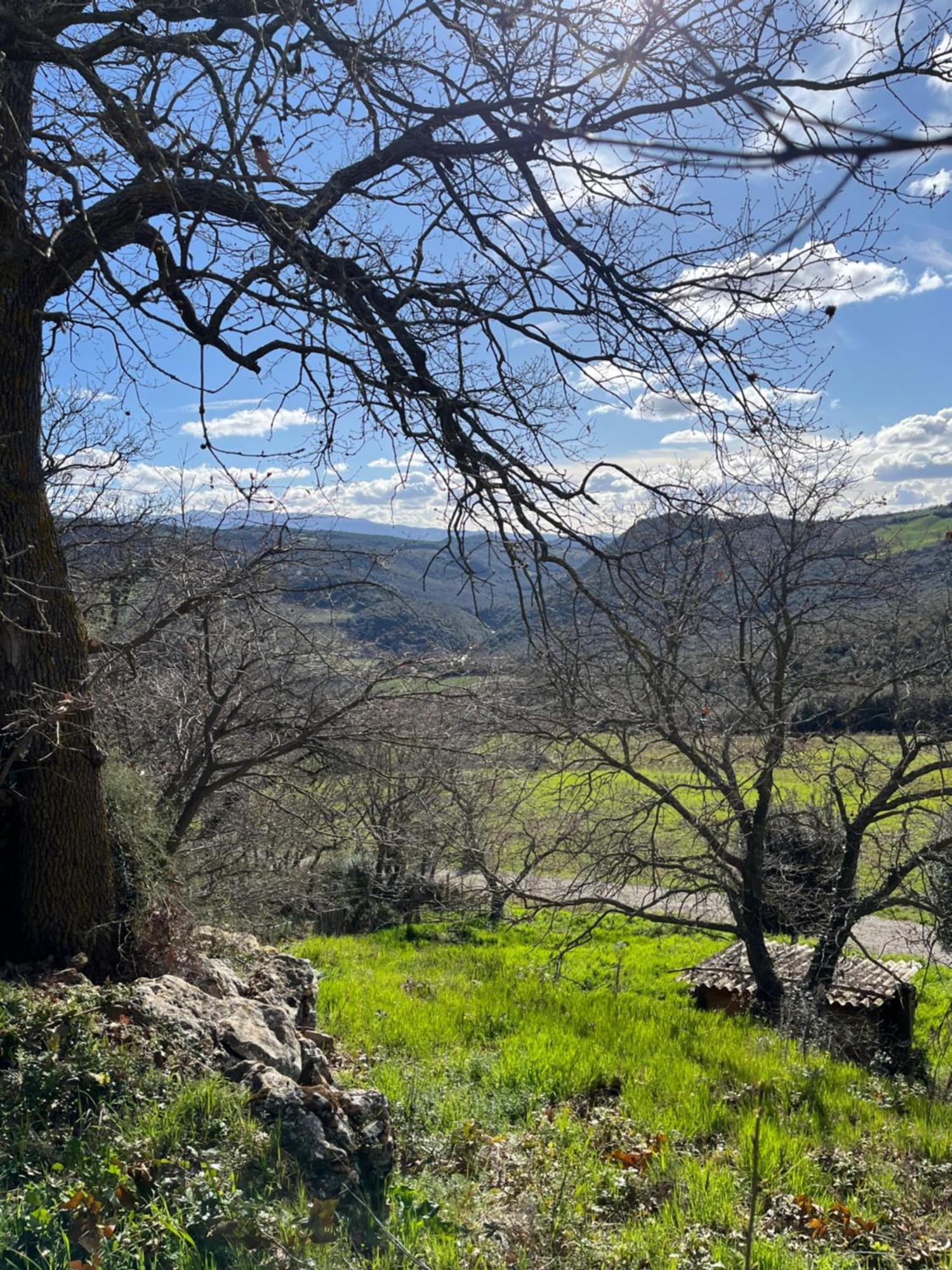 Agriturismo Le Querciole In Val D'Orcia Bagno Vignoni Eksteriør bilde